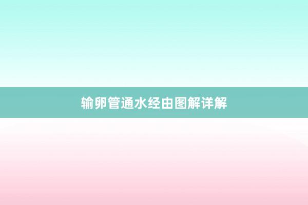 输卵管通水经由图解详解