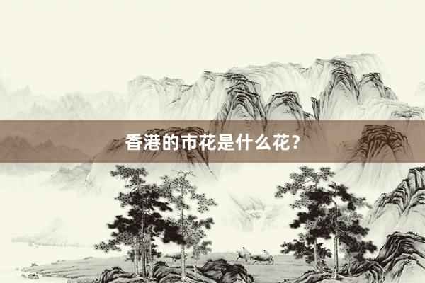 香港的市花是什么花？