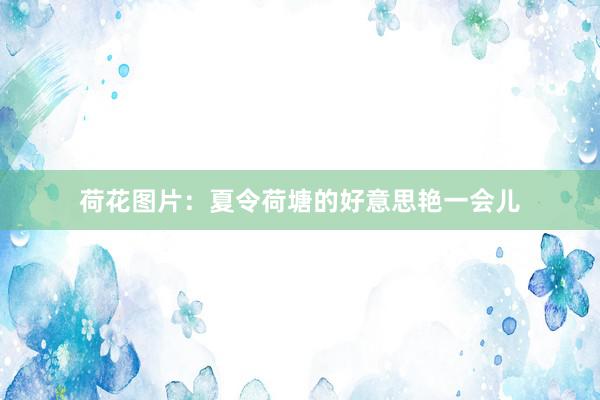 荷花图片：夏令荷塘的好意思艳一会儿