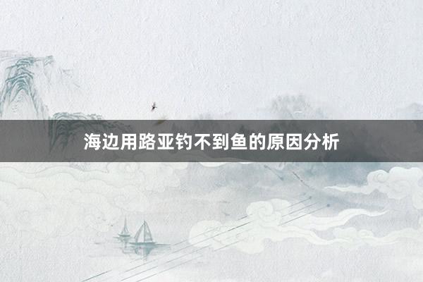海边用路亚钓不到鱼的原因分析
