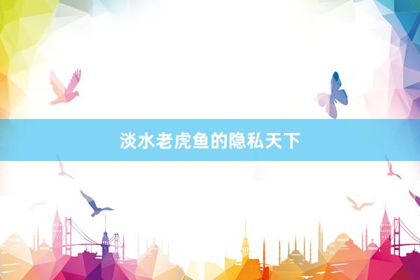 淡水老虎鱼的隐私天下